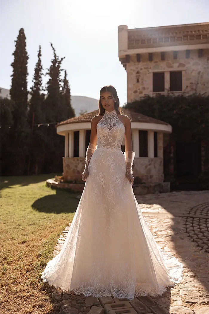 cosmobella collection image
