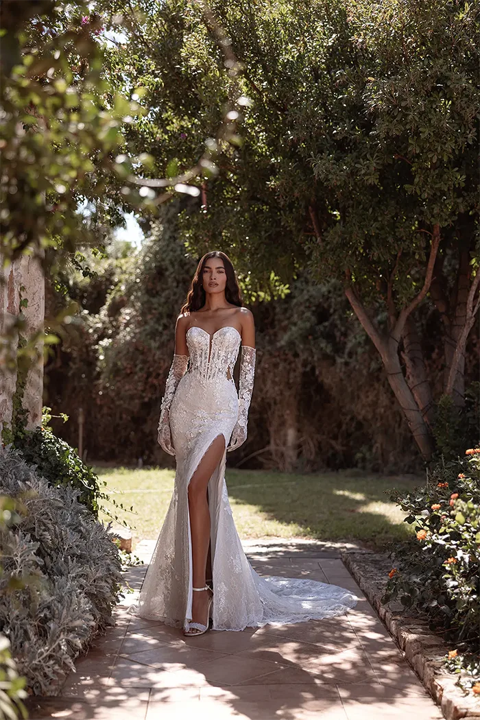 cosmobella collection image