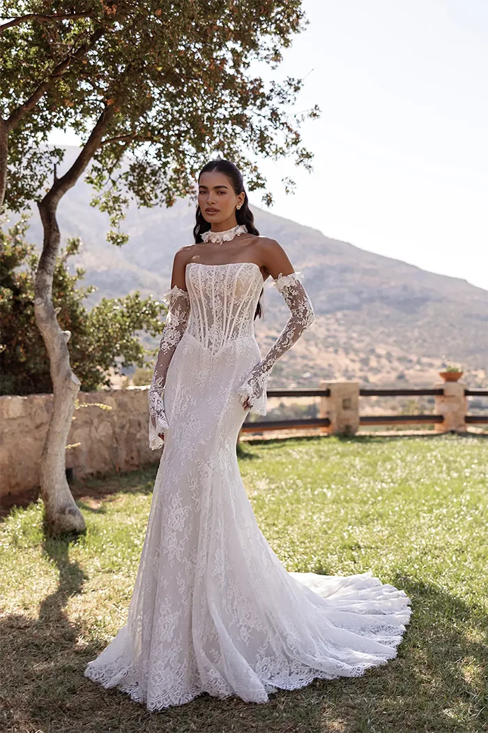cosmobella collection image