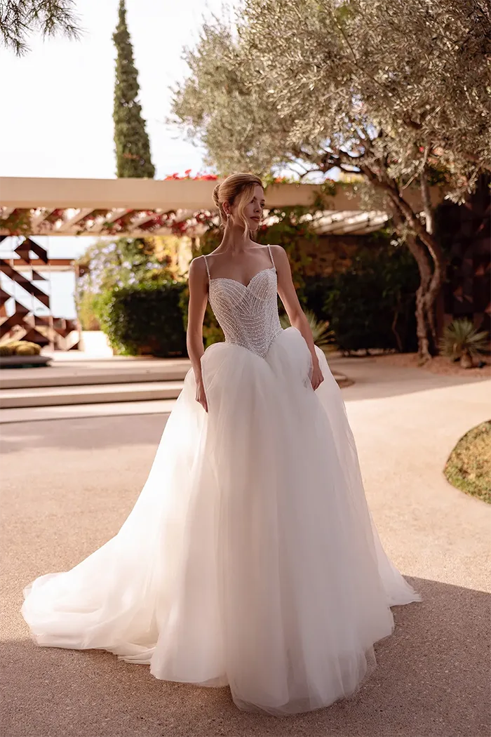 demetrios collection image
