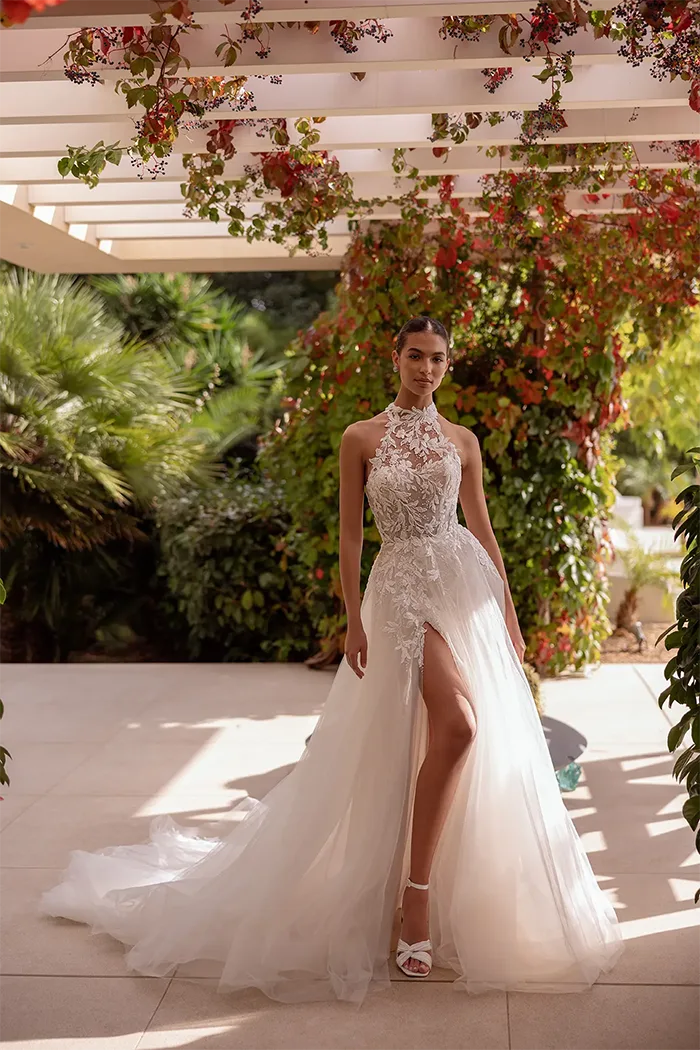 demetrios collection image