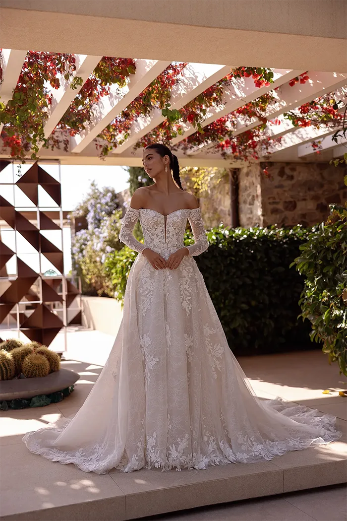 demetrios collection image