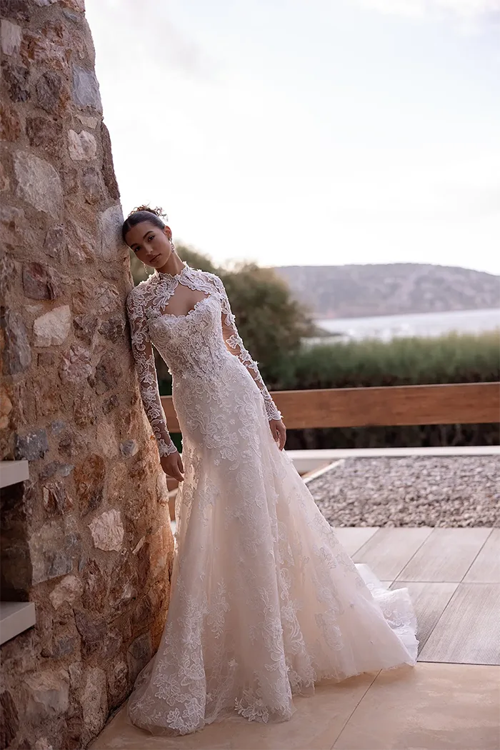 demetrios collection image