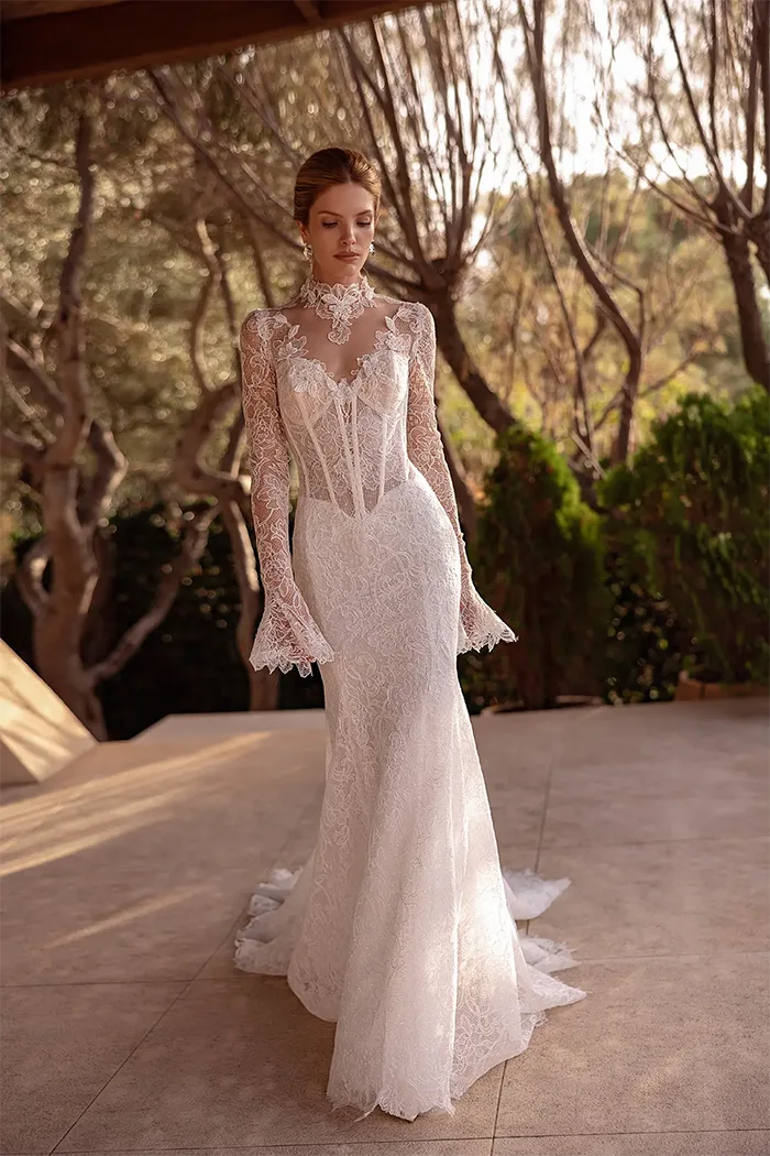 demetrios collection image