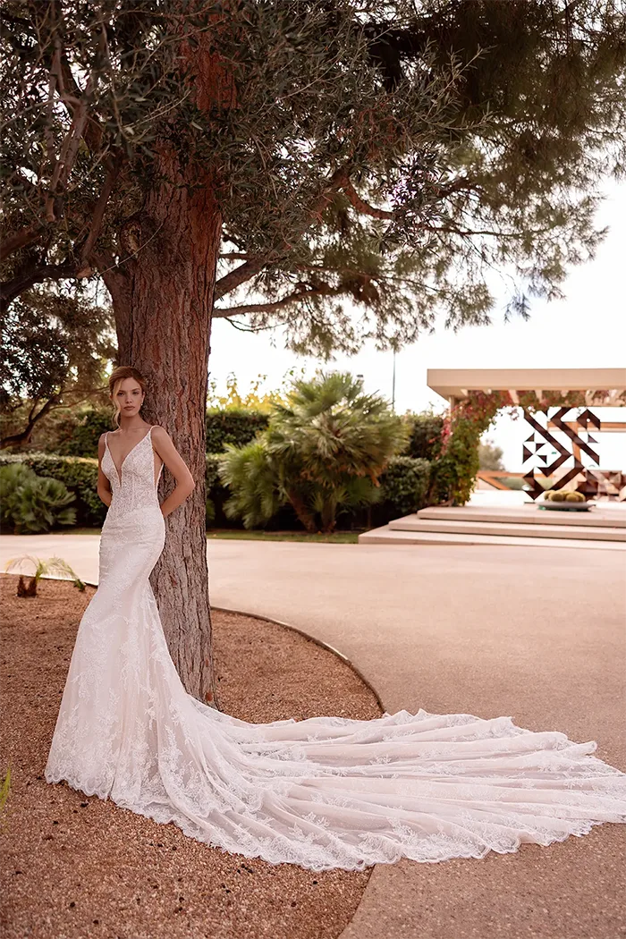 demetrios collection image