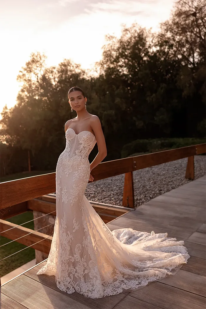 demetrios collection image