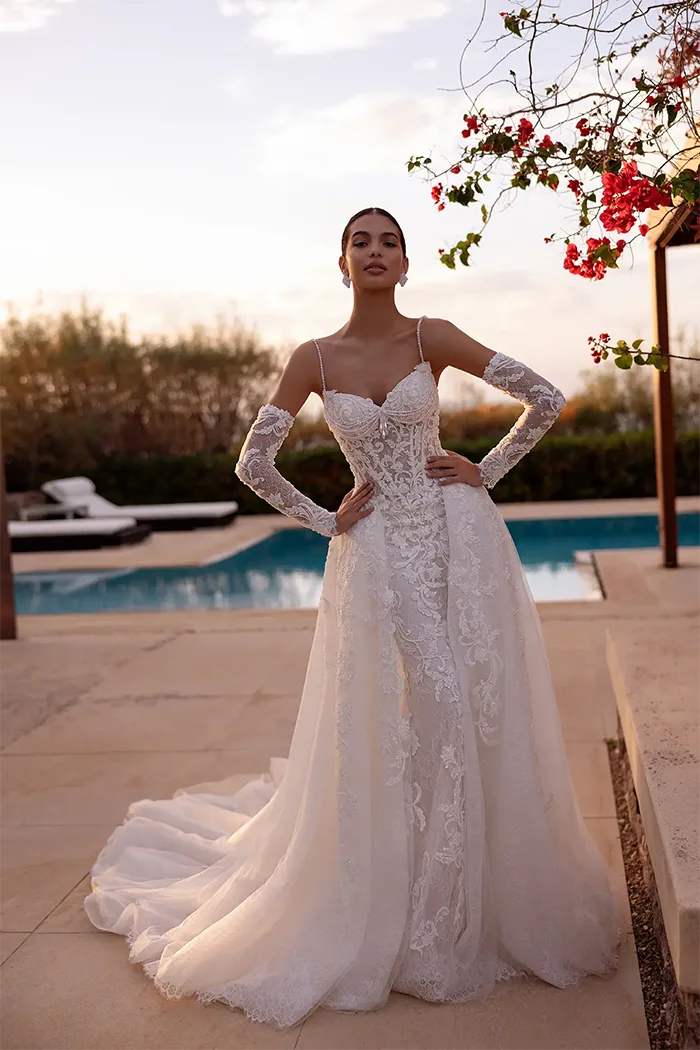 demetrios collection image