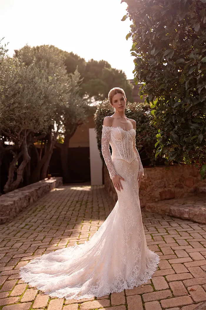 demetrios collection image