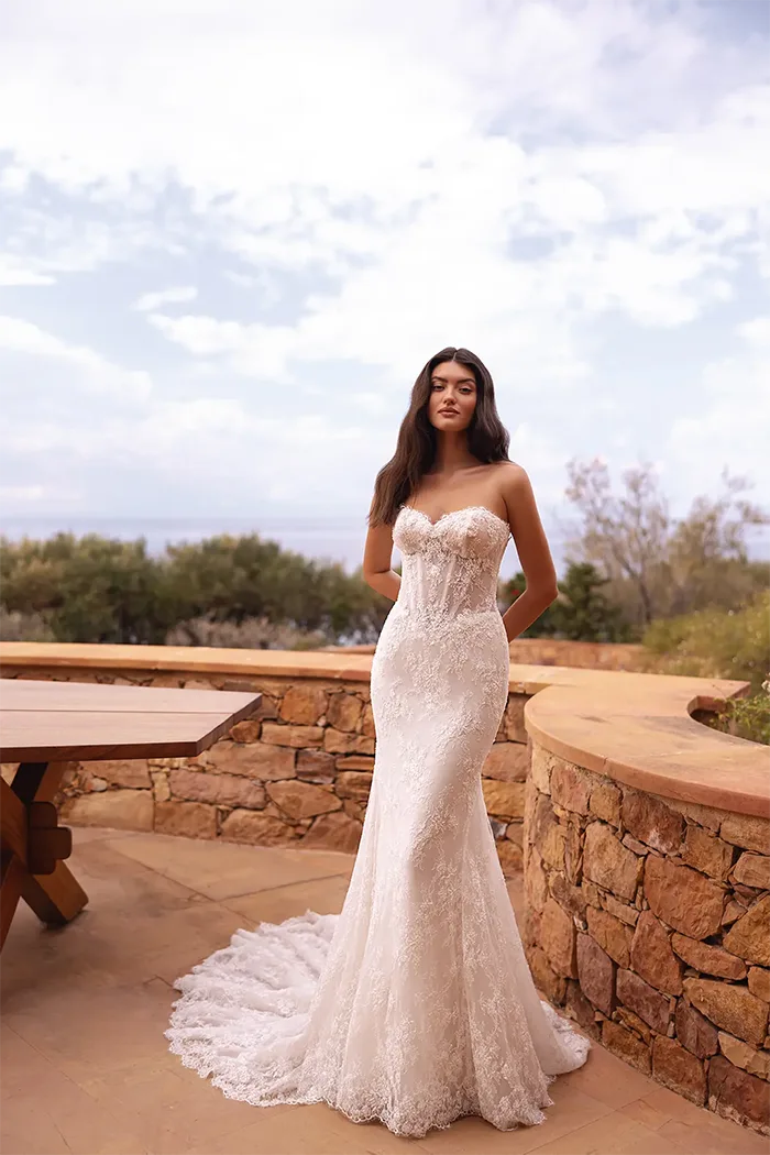 demetrios collection image