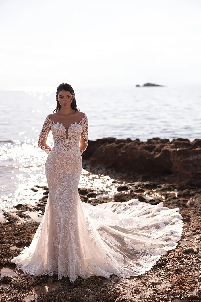 demetrios collection image