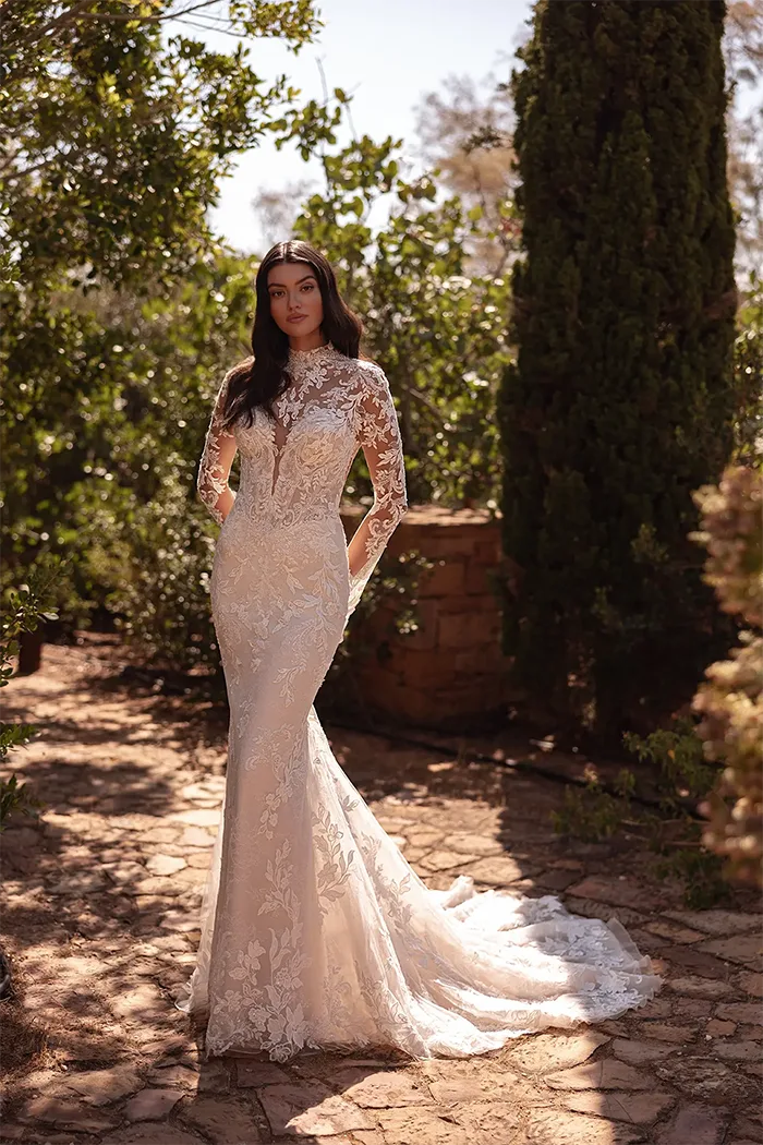 demetrios collection image
