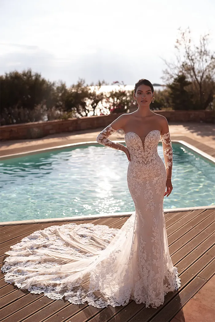 demetrios collection image
