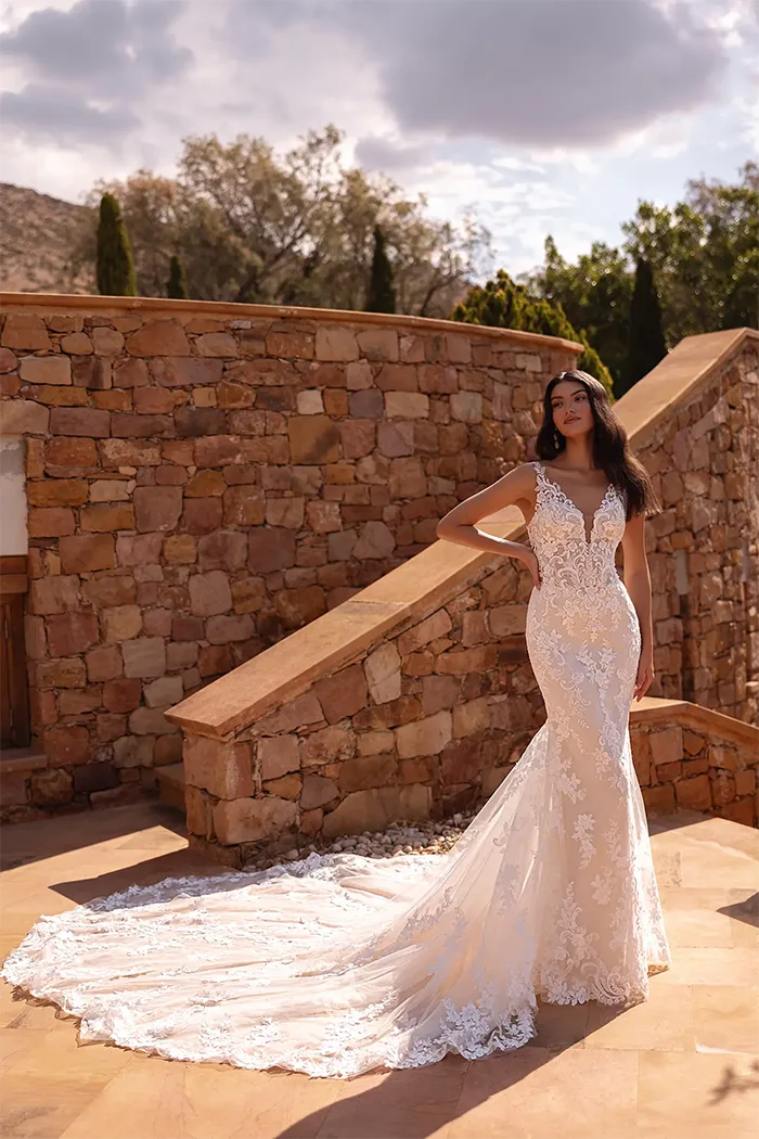 demetrios collection image